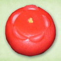 寒紅梅