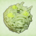 菜の花
