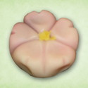 さくら