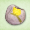 花菖蒲