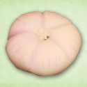 撫子