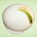 鈴虫
