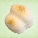 松茸